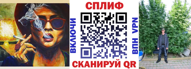 Где купить наркоту Ветлуга Бутират  Альфа ПВП  КОКАИН  Мефедрон  Галлюциногенные грибы  МАРИХУАНА  Гашиш 